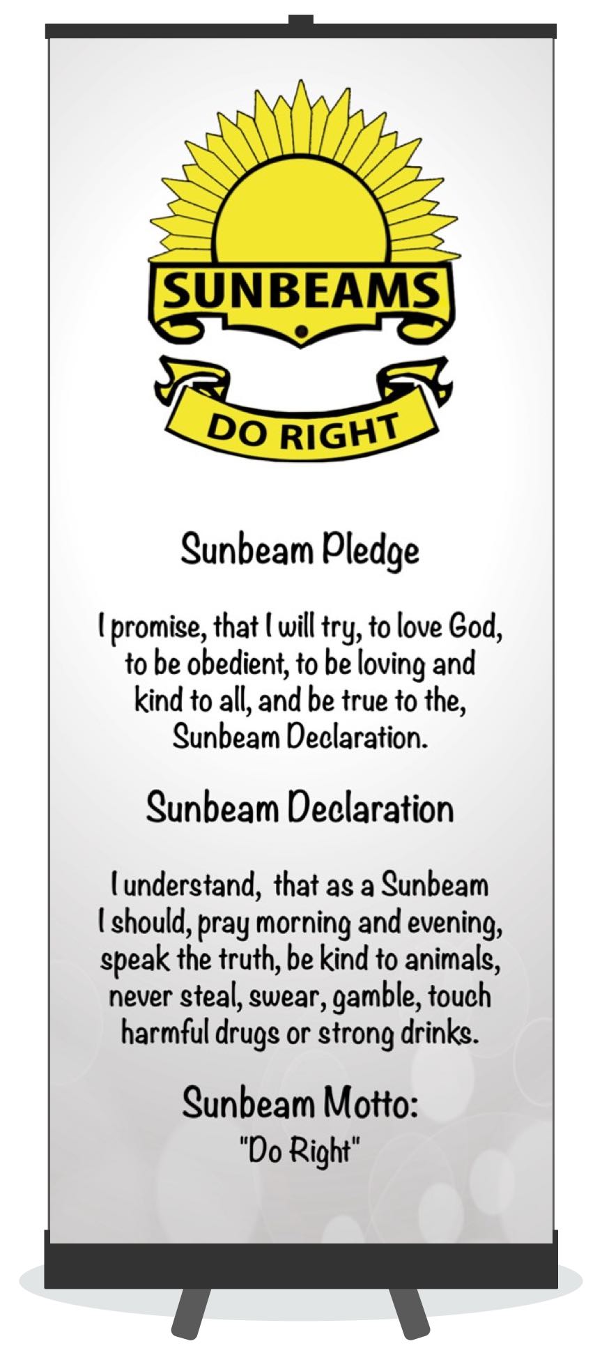 Sunbeams Pledge Retractable